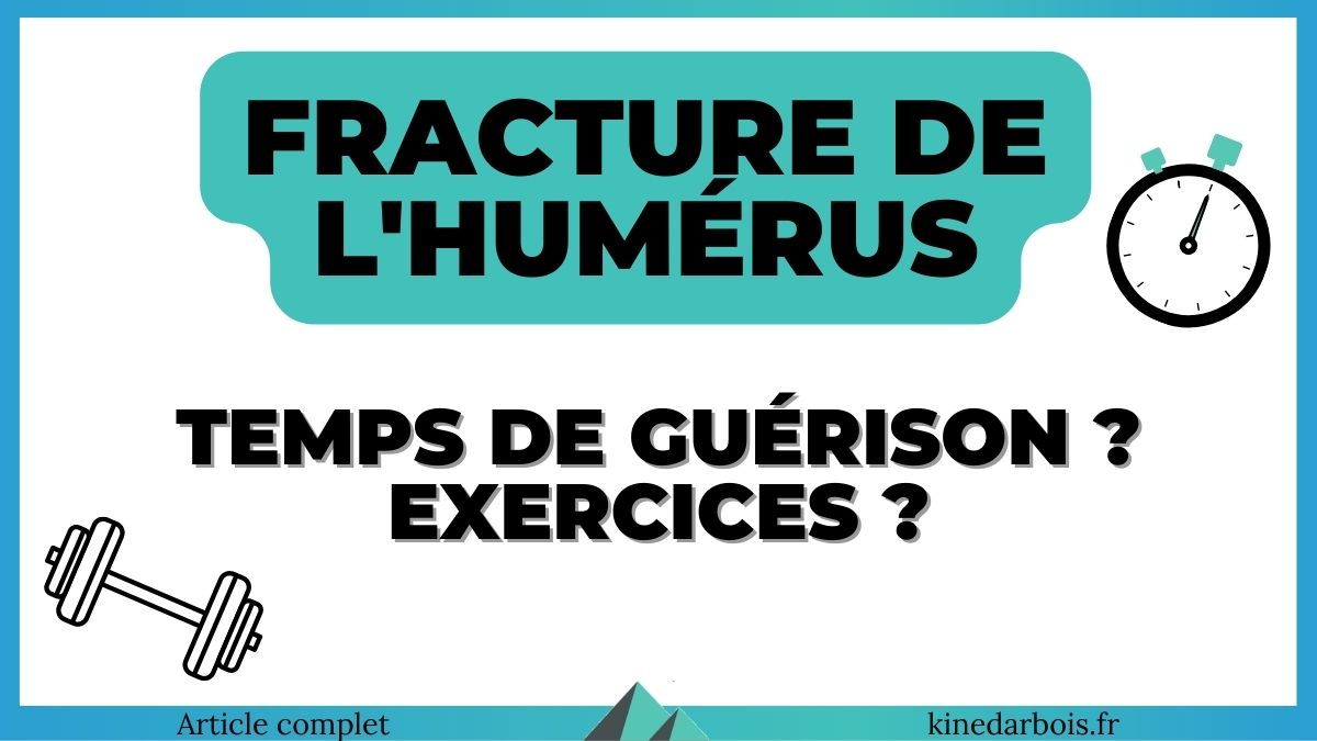 Fracture humérus temps de guérison, rééducation Avis kiné