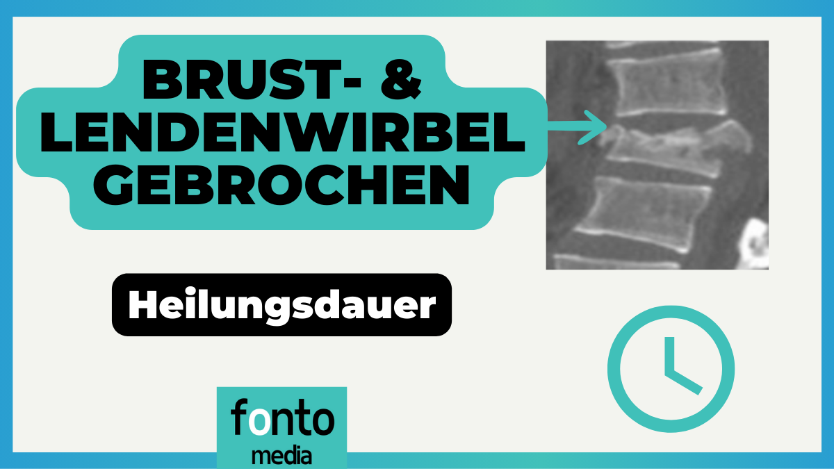Brust- & Lendenwirbel gebrochen : Heilungsdauer (+ Physio'Tipps)