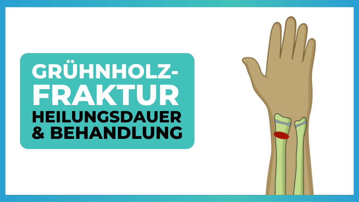 Grünholzfraktur Bis Zu Welchem Alter kinedarbois.fr
